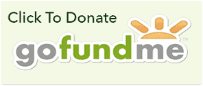 gofundme